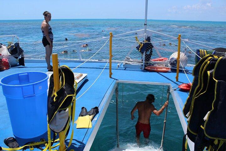 Sun, Snorkel & Sip: excursion d'une journée à Key West au départ de Miami