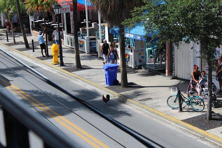 Sol, Snorkel & Sip: Key West-dagstur fra Miami