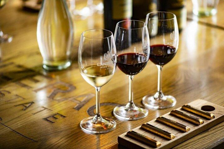 Cape Town Helicopter : Cape of Good Hope & Stellenbosch Wine Tour
