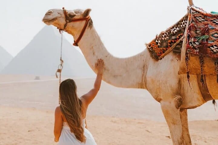 Cairo Layover Giza Pyramids & Sphinx with private tour Guide