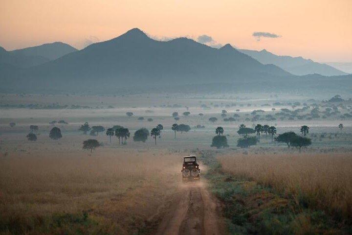15 dages Uganda klassisk safari