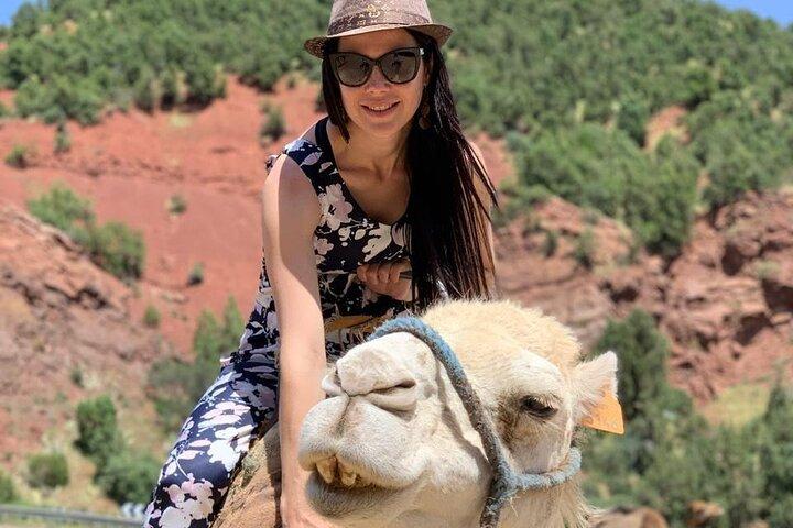 3 dagars tur från Marrakech till Sahara