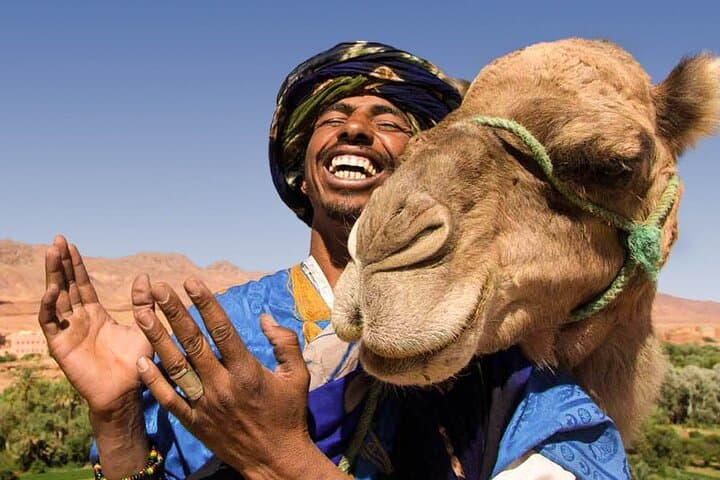 Marrakech Camel Ride