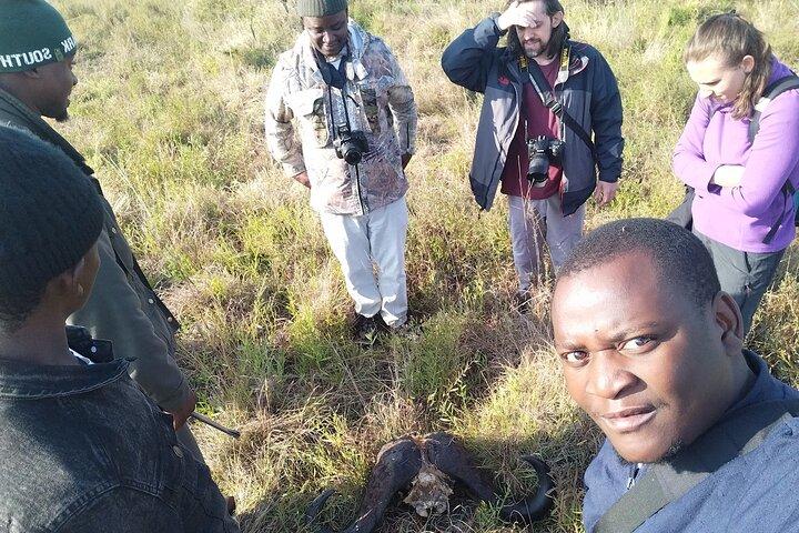 Caminhada matinal do Parque Nacional Kruger mínimo 4 pessoas