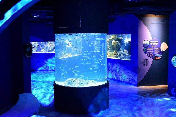 Mauritius Odysseo Oceanarium a Port Louis