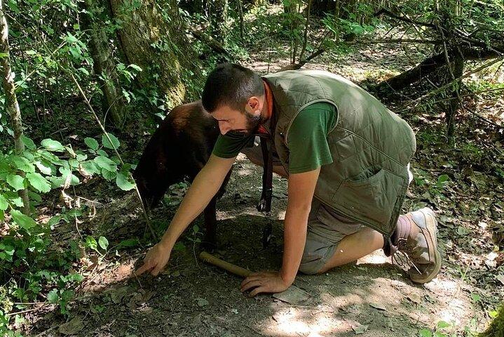 Aventura de caça de trufas