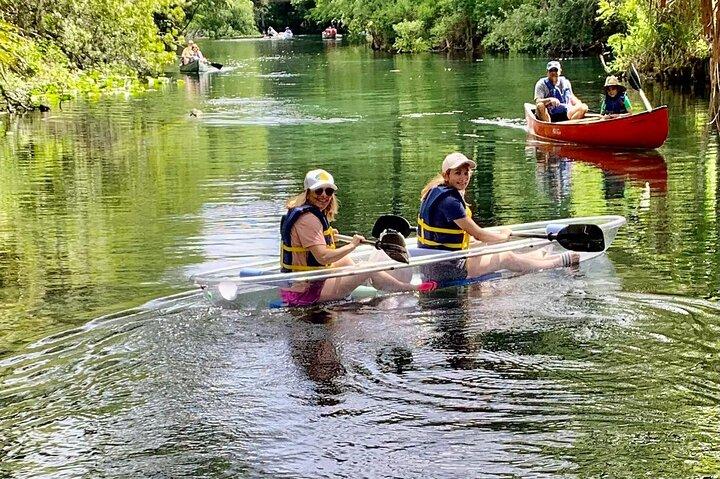 Canoa e visite alla fauna selvatica a Silver Springs