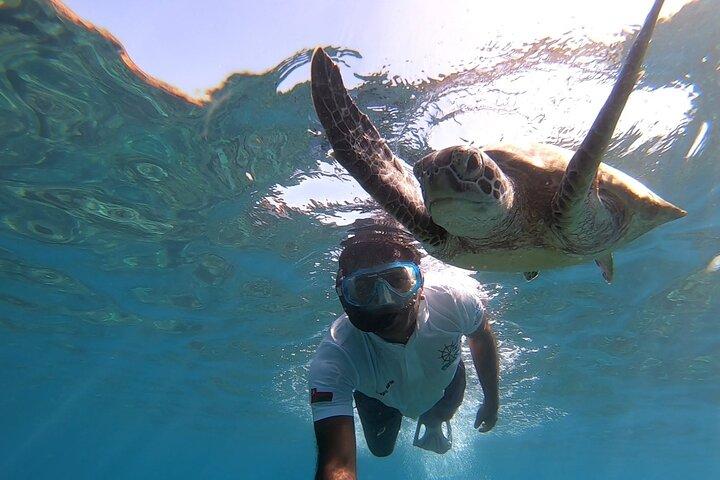 Crociere a Daymaniyat e Snorkeling