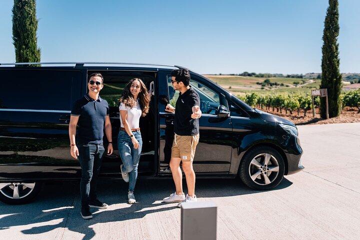 Segovia Privada e Ribera del Duero com degustação de vinhos de Madrid