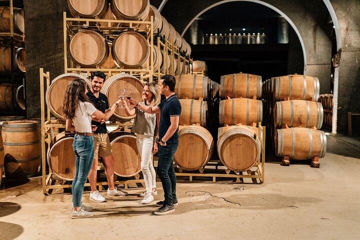 Segovia Privada e Ribera del Duero com degustação de vinhos de Madrid