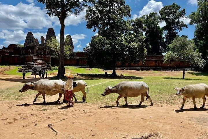 Full-Day 'Big Tour' with Sunset at Phnom Bakheng