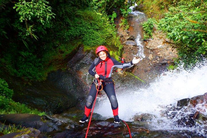 Excursión privada de un día a los bosques nubosos.