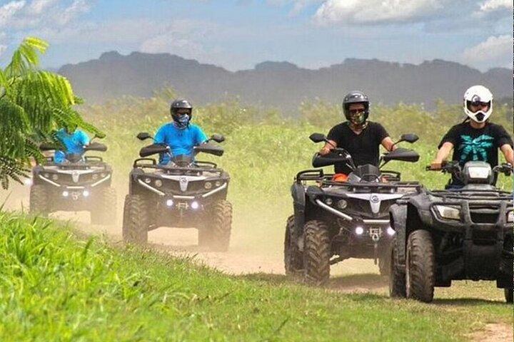ダブル ATV アドベンチャー : 送迎付きのプライベート農園体験