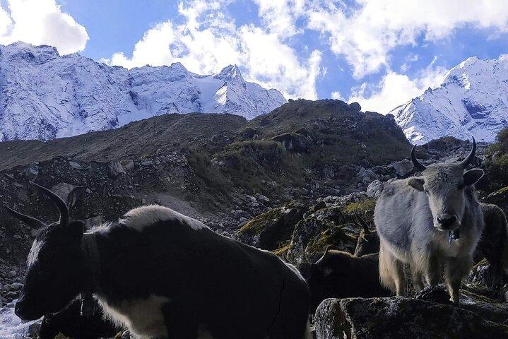 Trekking sul circuito di Manaslu