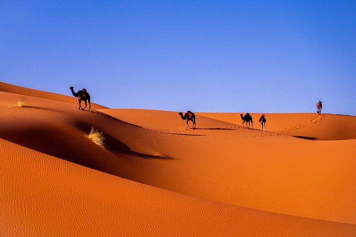 Private Desert Odyssey: Marrakech to Merzouga 3-Day Adventure