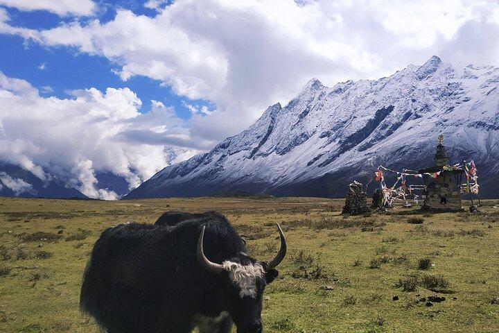 Trekking sul circuito di Manaslu