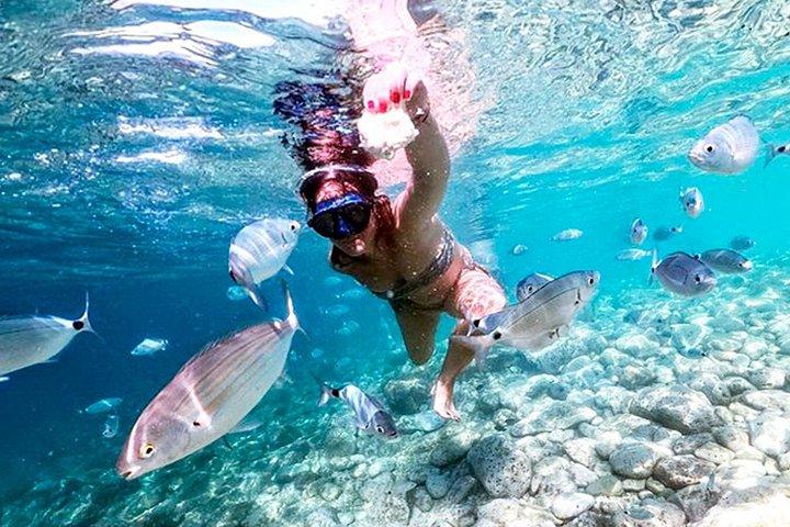 島と国立公園の日帰りクルーズに立ち寄り、ランチドリンク付き