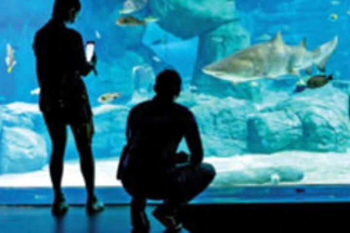 Mauritius Odysseo Oceanarium a Port Louis