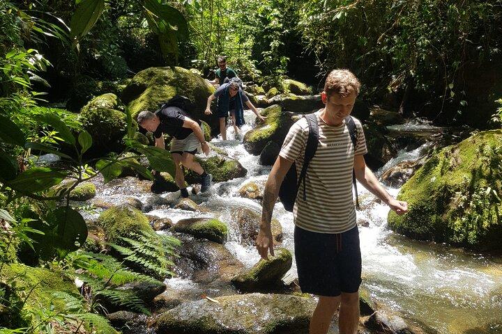 vandring medellin och dolda vattenfall