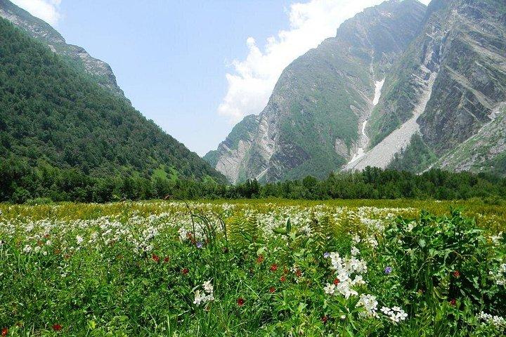 花の谷 - ユネスコ世界遺産、ウッタラーカンド州