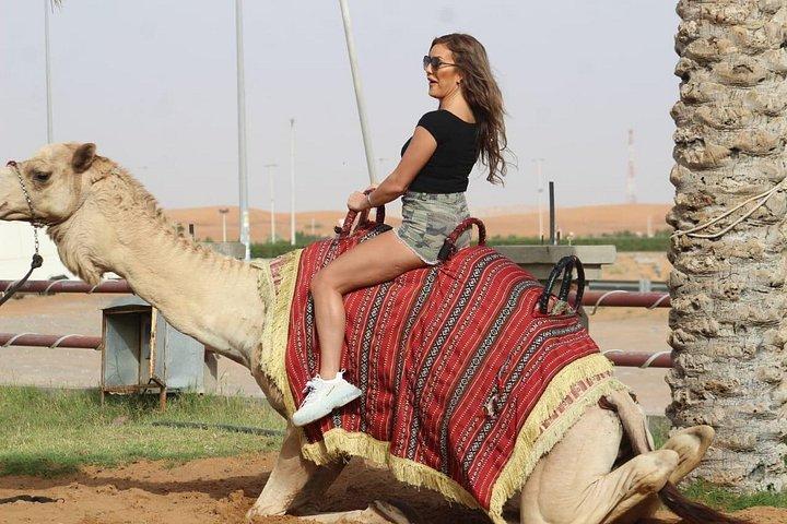 Sunset Quad/Buggy Tour & BBQ Evening