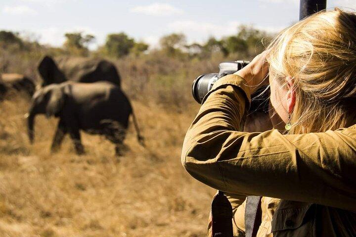 Safari en albergue de 3 días en Tarangire, cráter de Ngorongoro y lago Manyara