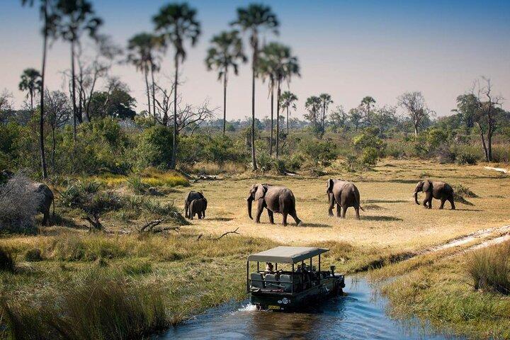 3-Days Lodge Safari i Tarangire, Ngorongoro-kratern och Lake Manyara