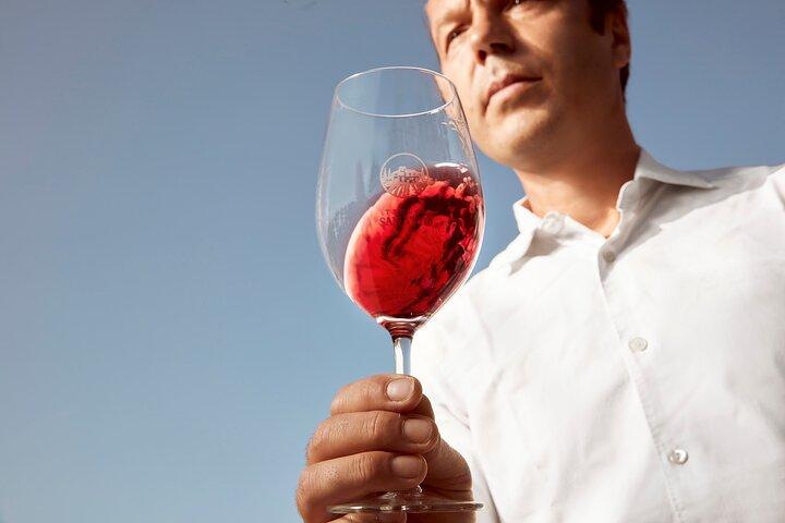 Winery tour and wine tasting of organic Chianti wines and extra virgin oil