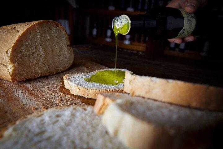 Winery tour and wine tasting of organic Chianti wines and extra virgin oil