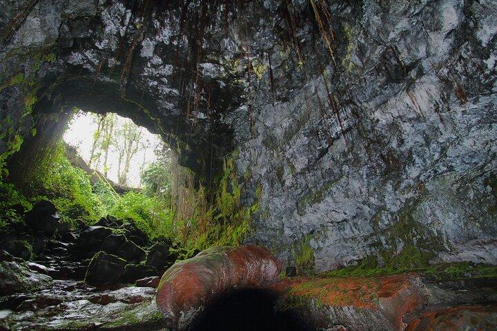 Escursione a Hilo Shore : Vulcano Safari Grotte di lava e sabbia nera