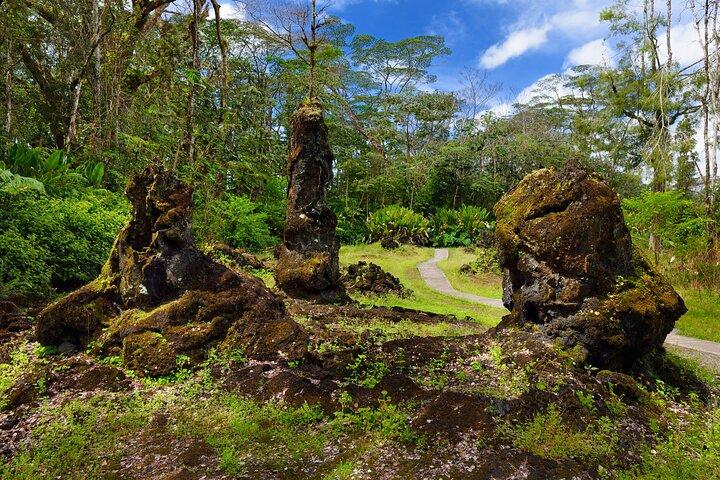 Escursione a Hilo Shore : Vulcano Safari Grotte di lava e sabbia nera