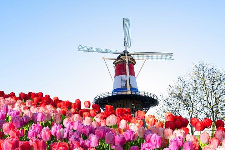 Privat tur til Delft og Leiden fra Amsterdam