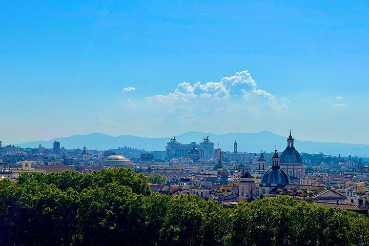Visita turística VIP con chofer en Roma Recogida y regreso al hotel