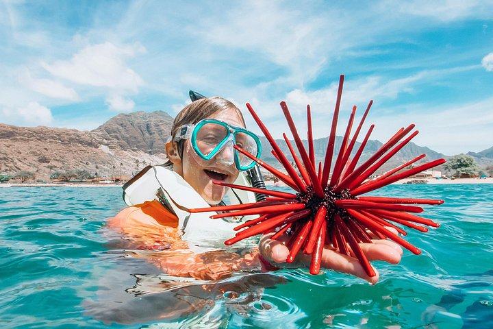 Swim with Dolphins Catamaran with Waterslide & Lunch on Oahu