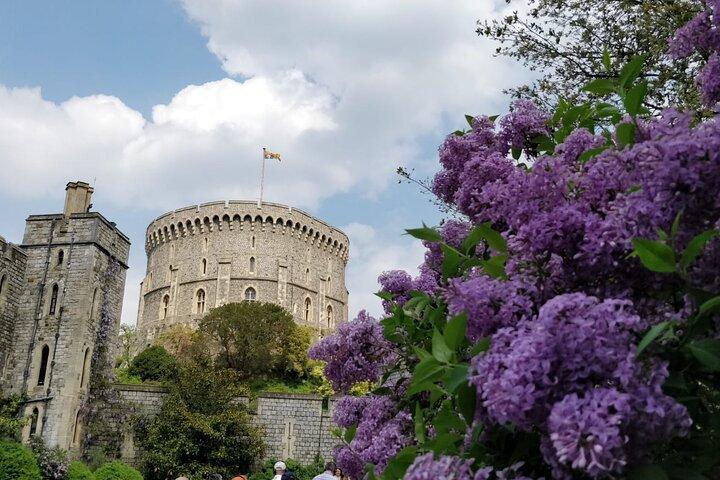 Visite guidée privée du château de Windsor PLUS et histoire