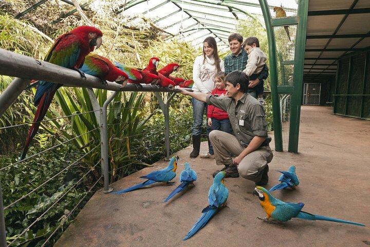 Temaiken Tour fra Buenos Aires: En rejse til naturen