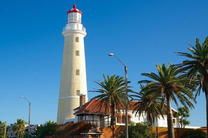 Discovering Punta del Este: Half-Day City Tour