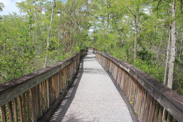 Everglades Day Safari fra Miami