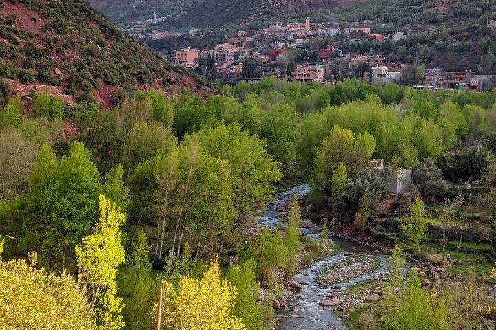 From Marrakech: Atlas, Ourika Valley and Waterfall with guide