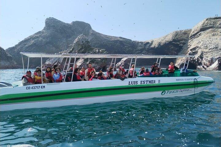 Boottocht op de Ballestas-eilanden in Paracas