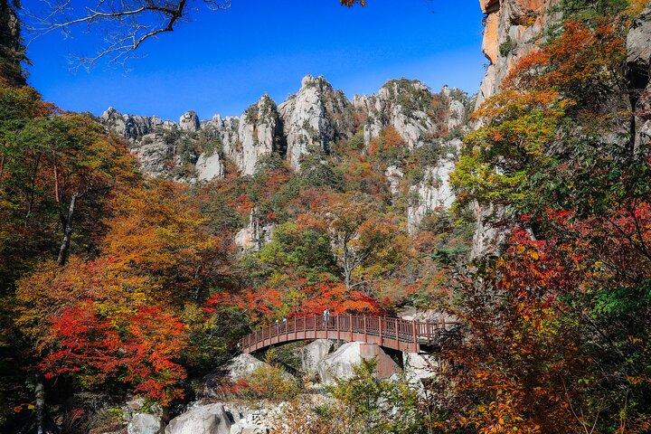 ソウル発雪岳山国立公園紅葉日帰りツアー