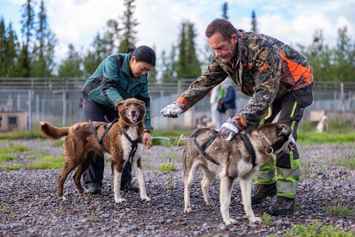 Conoce a 70 Huskies y disfruta de un corto tour en ATV con los Huskies