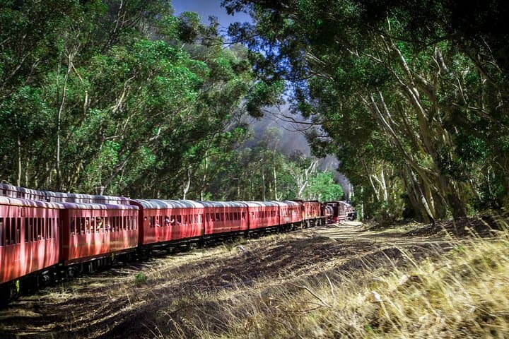 Vintage Train to Elgin Railway Market