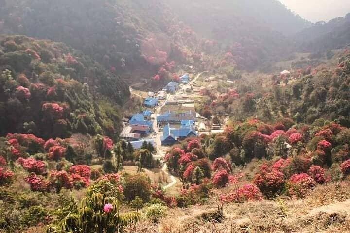 Ghorepani Poon Hill Sunrise Trek
