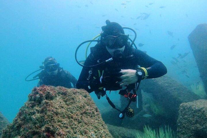 Pleasure Scuba Diving i Fujairah for certificeret dykker