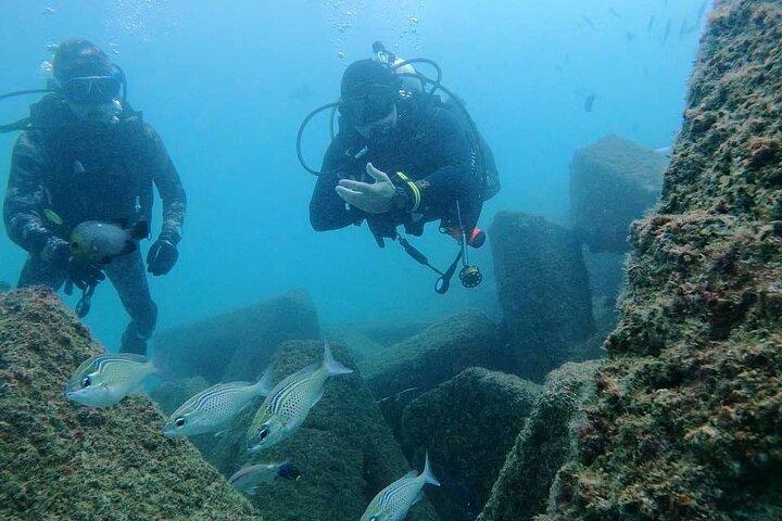 Pleasure Scuba Diving a Fujairah per Certified Diver