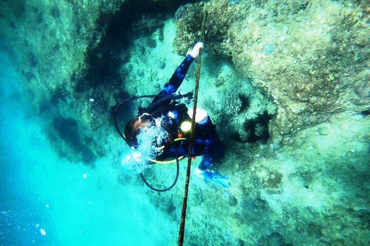 Pleasure Scuba Diving a Fujairah per Certified Diver