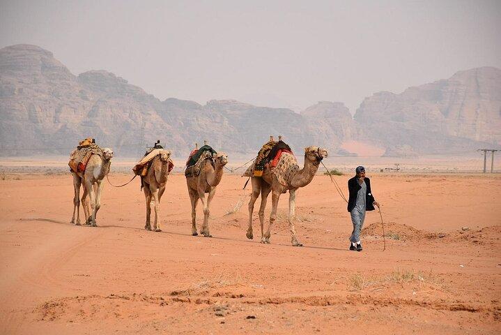 Exclusieve Premium Full-Day reis naar Petra & Wadi Rum vanuit Amman