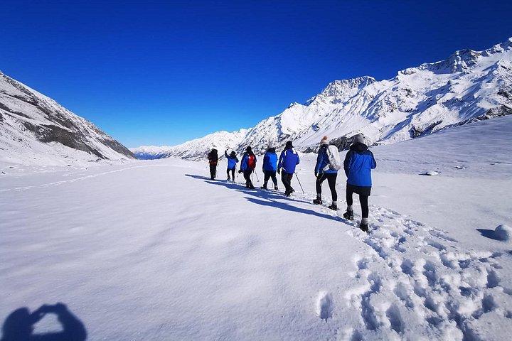 Mt Cook Small Group Tour & Heli Hike Combo from Queenstown