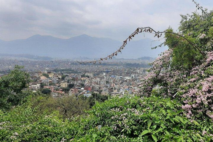Chandrigiri Cable Car & Monkey Temple Private Tour in Kathmandu